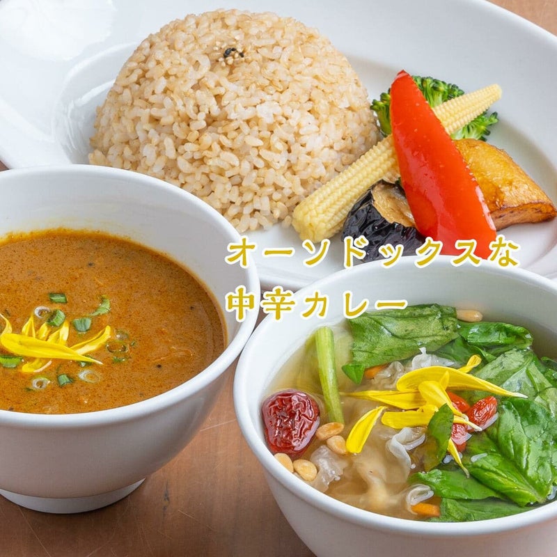 薬膳チキンカレー